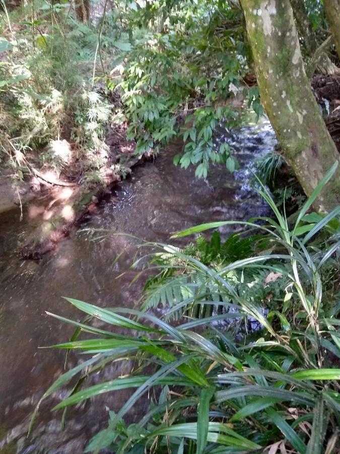 Chale Aroma Da Serra Monte Verde  Zewnętrze zdjęcie